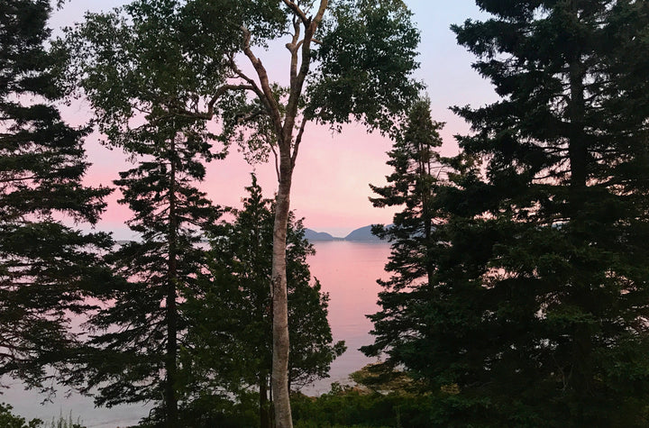 The Best Summer Spots in Maine