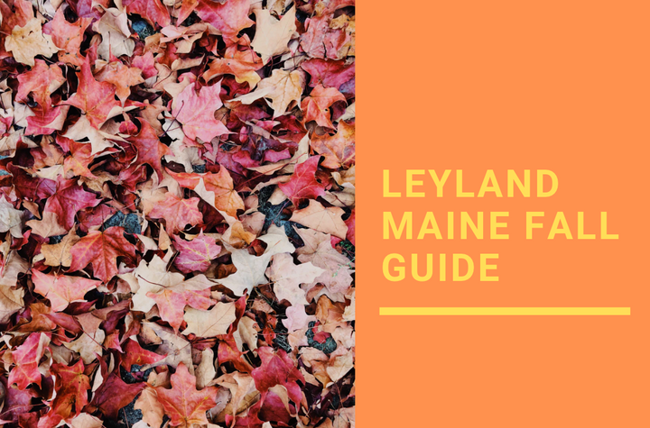 Leyland Maine Fall Guide
